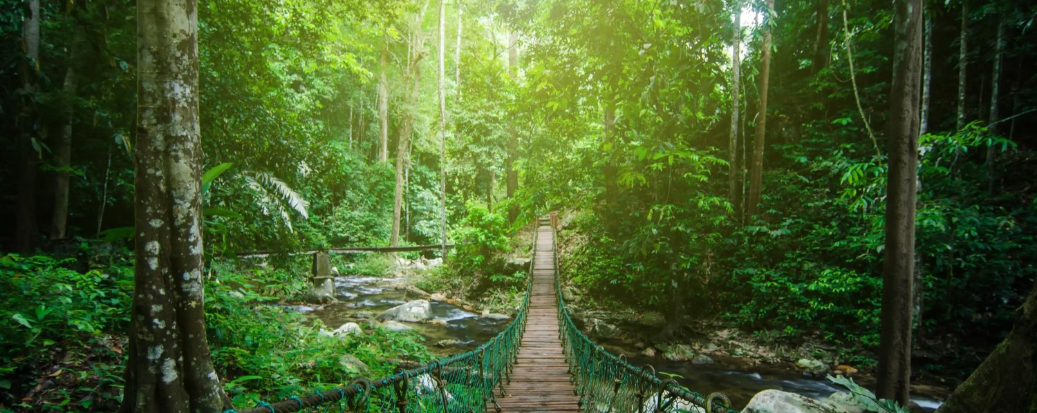 India and ASEAN Partner to Advance Eco-Friendly Tourism and Tackle Pollution